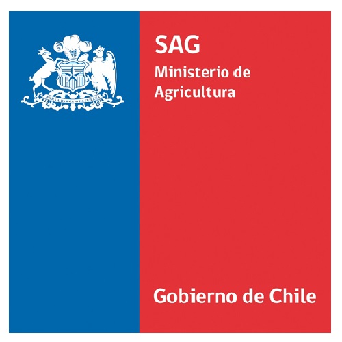 gob de chile